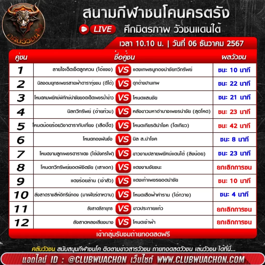 ผลวัวชน คลับวัวชน เว็บวัวชน