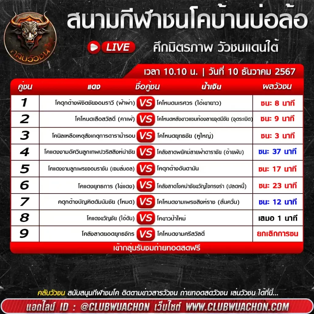 ผลวัวชนบ้านบ่อล้อ-10-ธันวาคม-67