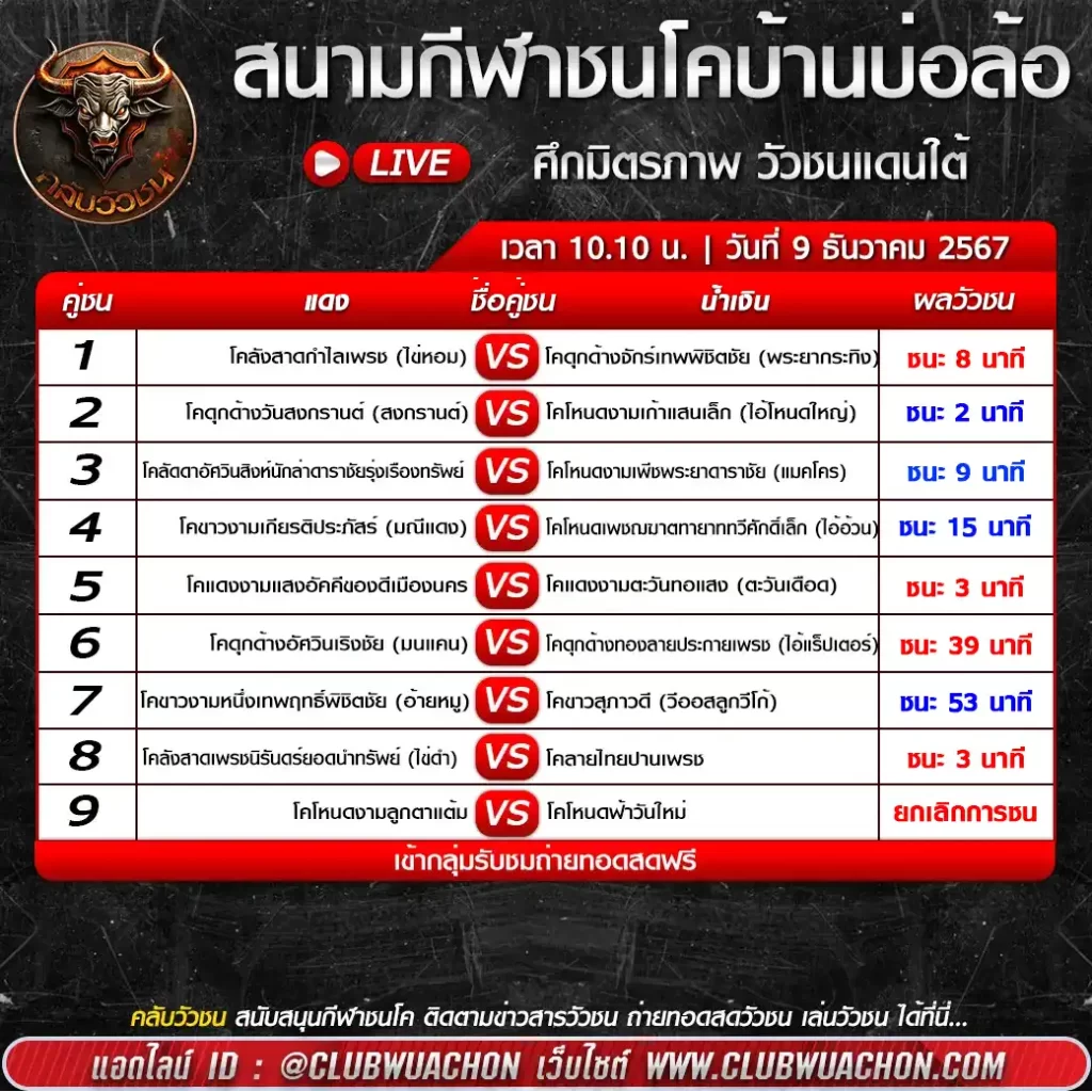 ผลวัวชนบ้านบ่อล้อ-9-ธันวาคม-67